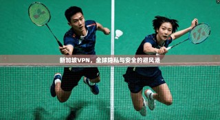新加坡VPN，全球隐私与安全的避风港
