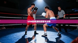VPN官网源码获取与分析