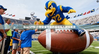 Box VPN:一种安全可靠的虚拟私人网络服务
