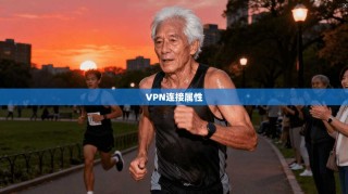 VPN连接属性