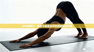 VPN独享IP，安全与便捷并存的网络解决方案