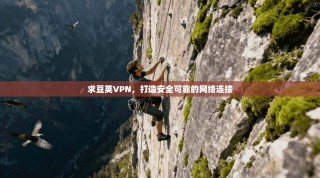 求豆荚VPN，打造安全可靠的网络连接