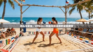 隐私与安全，VPN44—构建网络连接的坚固屏障