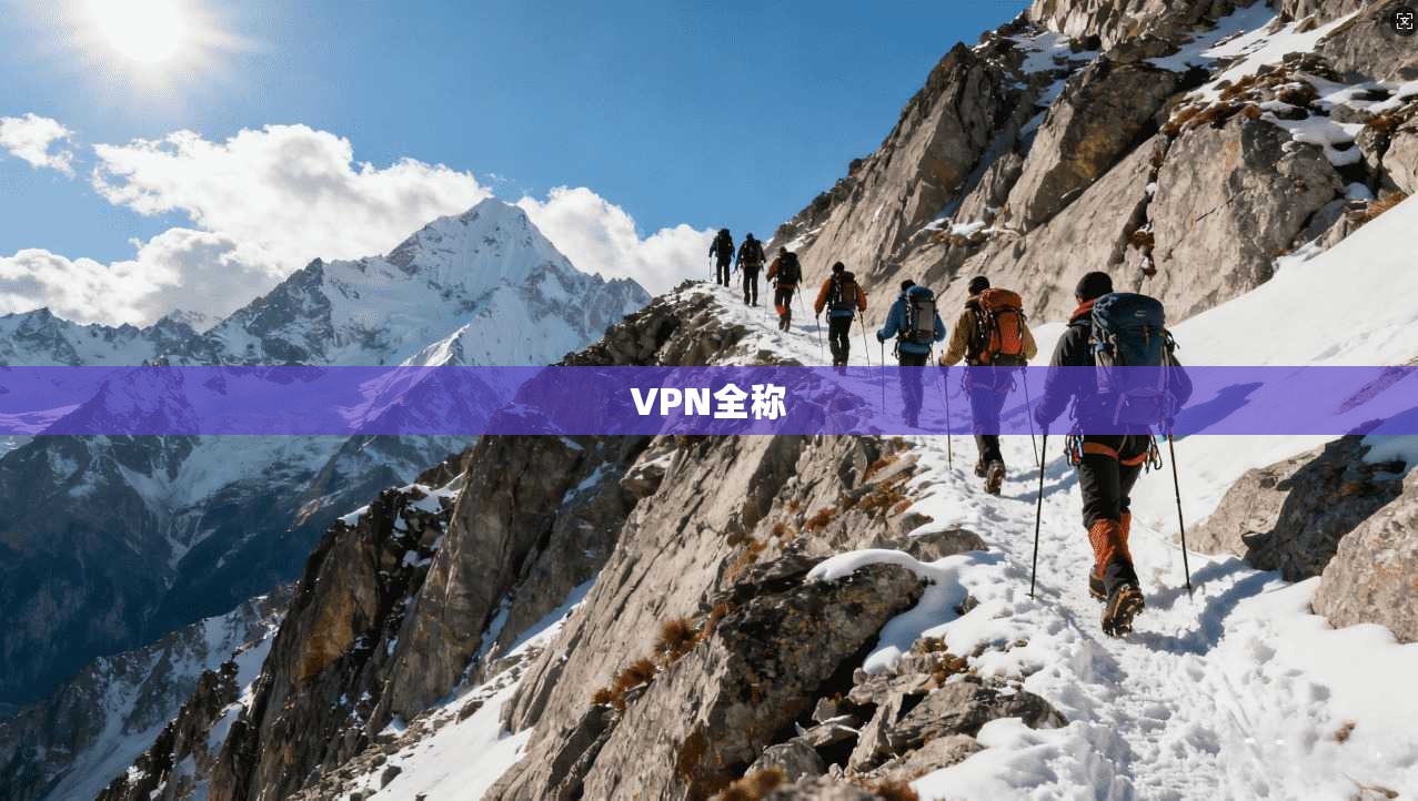 VPN全称 第1张 VPN全称 第1张
