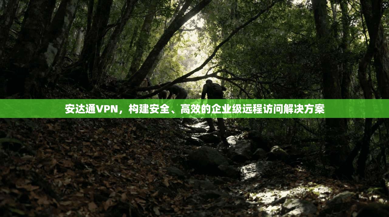 安达通VPN，构建安全、高效的企业级远程访问解决方案  第1张