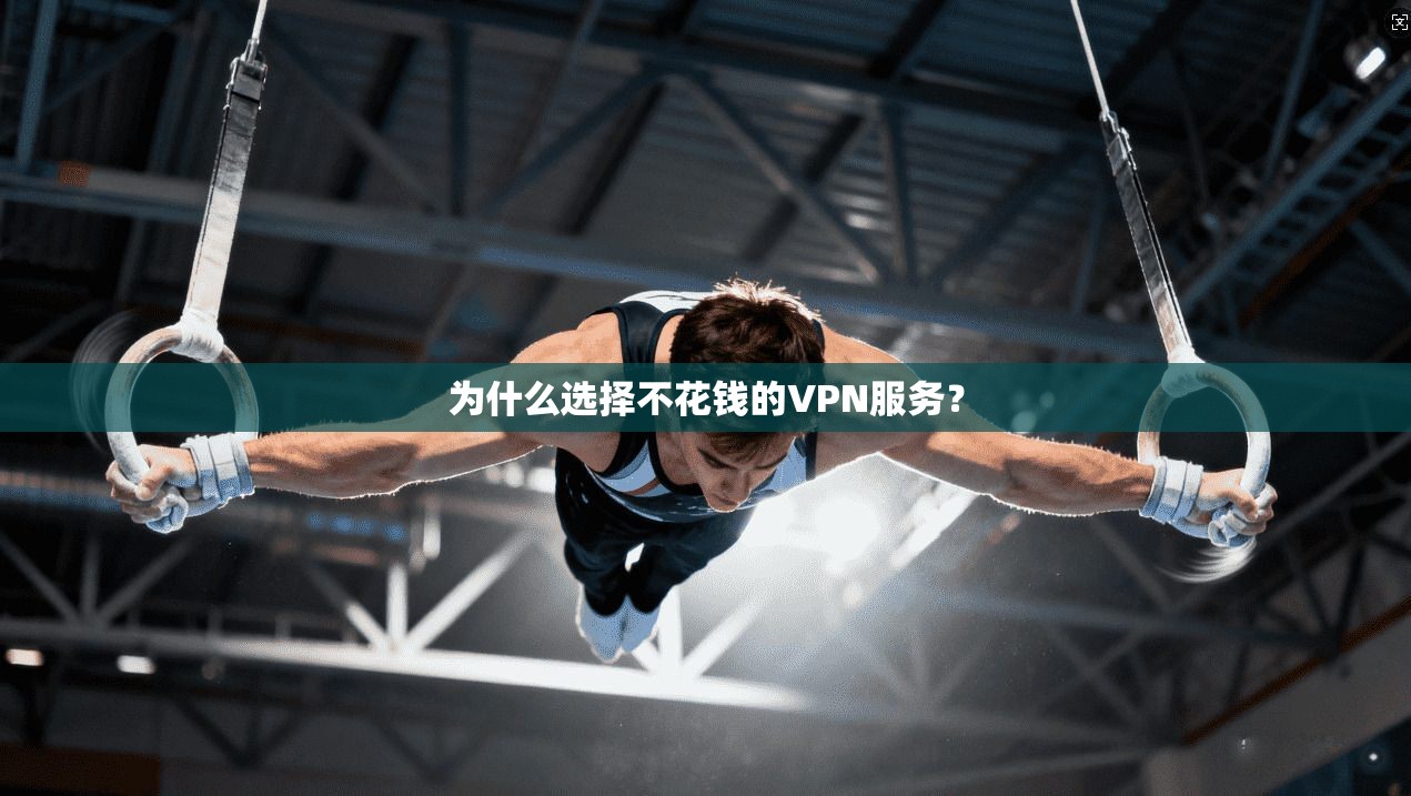 为什么选择不花钱的VPN服务? 第1张 为什么选择不花钱的VPN服务? 第1张
