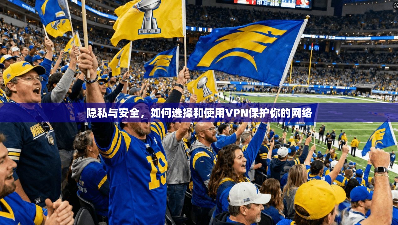 隐私与安全,如何选择和使用VPN保护你的网络 第1张 隐私与安全,如何选择和使用VPN保护你的网络 第1张
