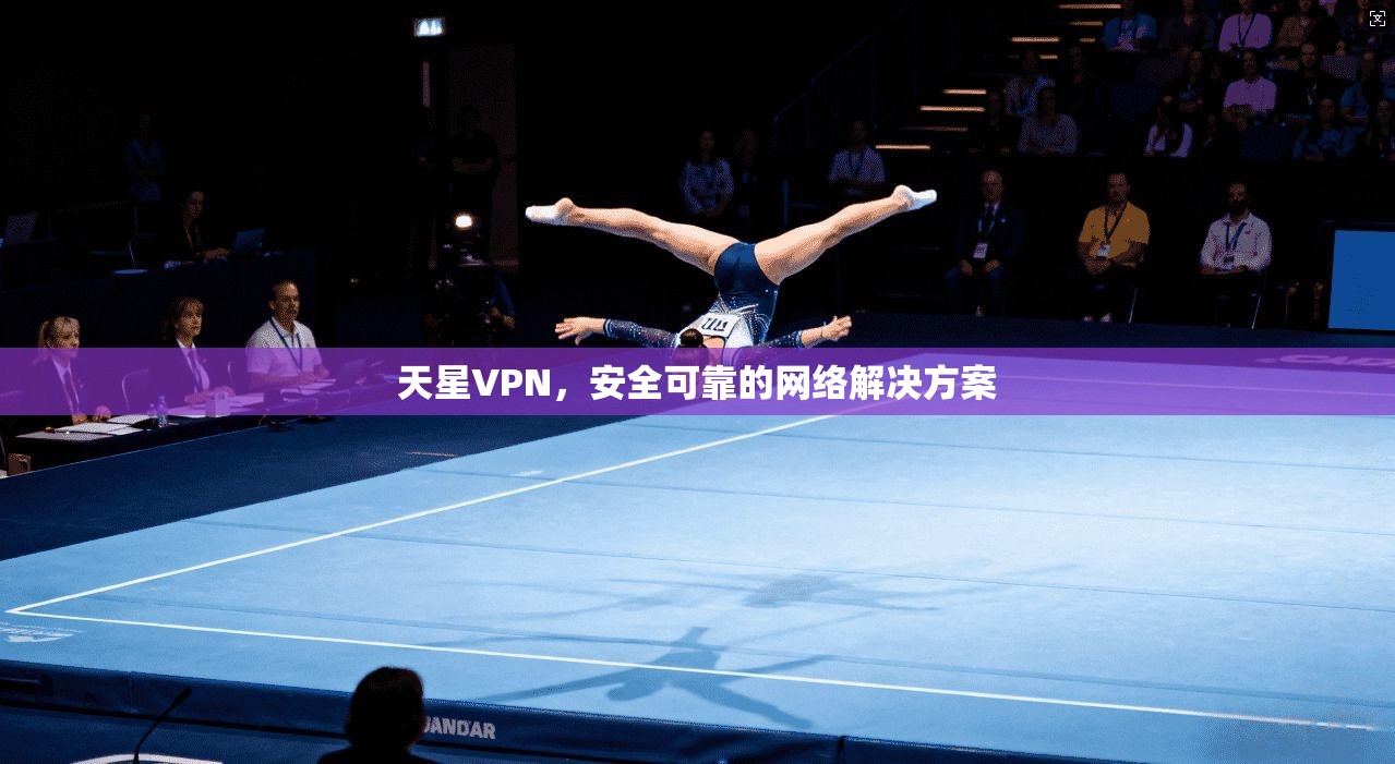 天星VPN，安全可靠的网络解决方案  第1张