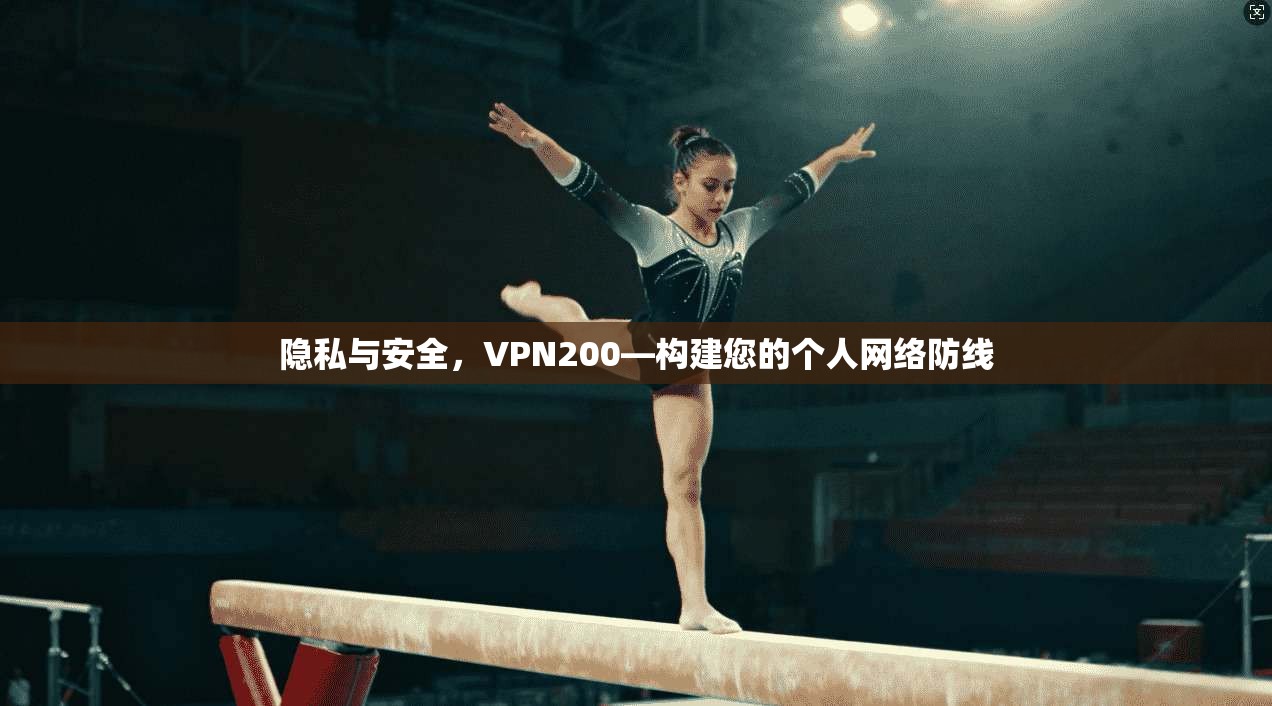 隐私与安全，VPN200—构建您的个人网络防线  第1张