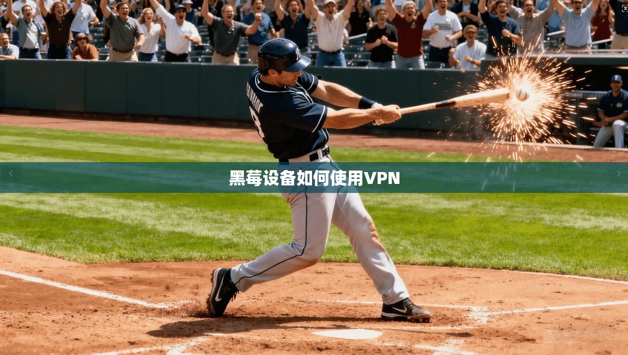 黑莓设备如何使用VPN  第1张