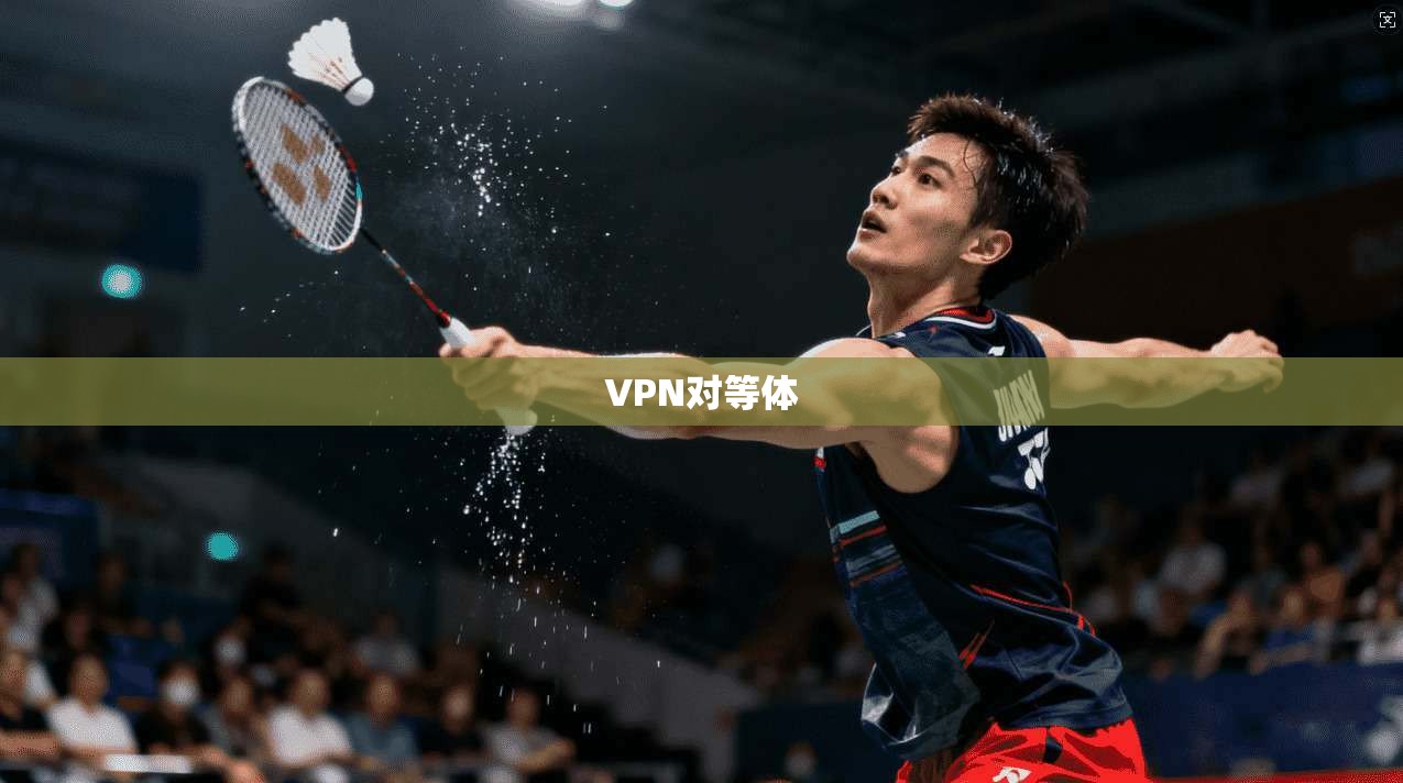 VPN对等体  第1张