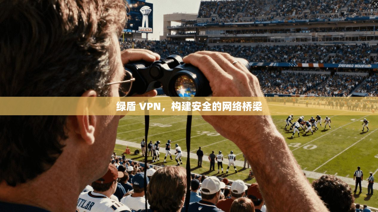绿盾 VPN，构建安全的网络桥梁  第1张