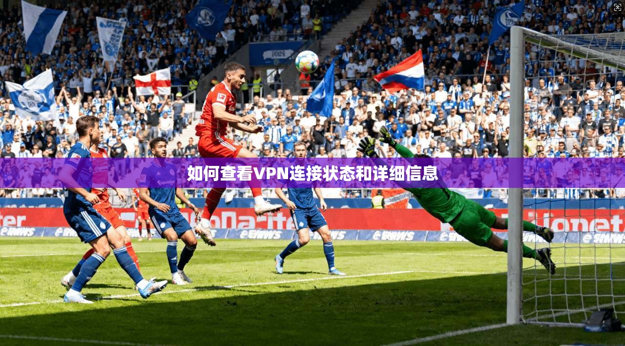 如何查看VPN连接状态和详细信息  第1张