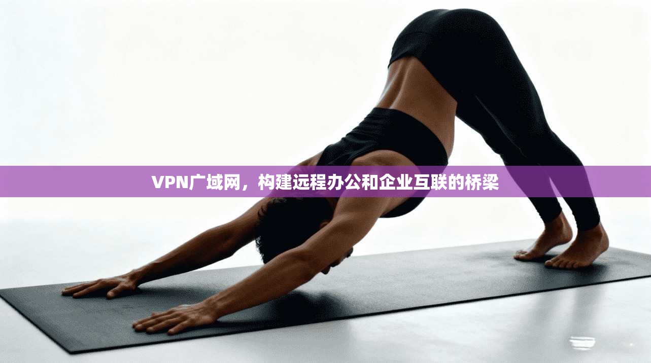 VPN广域网,构建远程办公和企业互联的桥梁 第1张 VPN广域网,构建远程办公和企业互联的桥梁 第1张