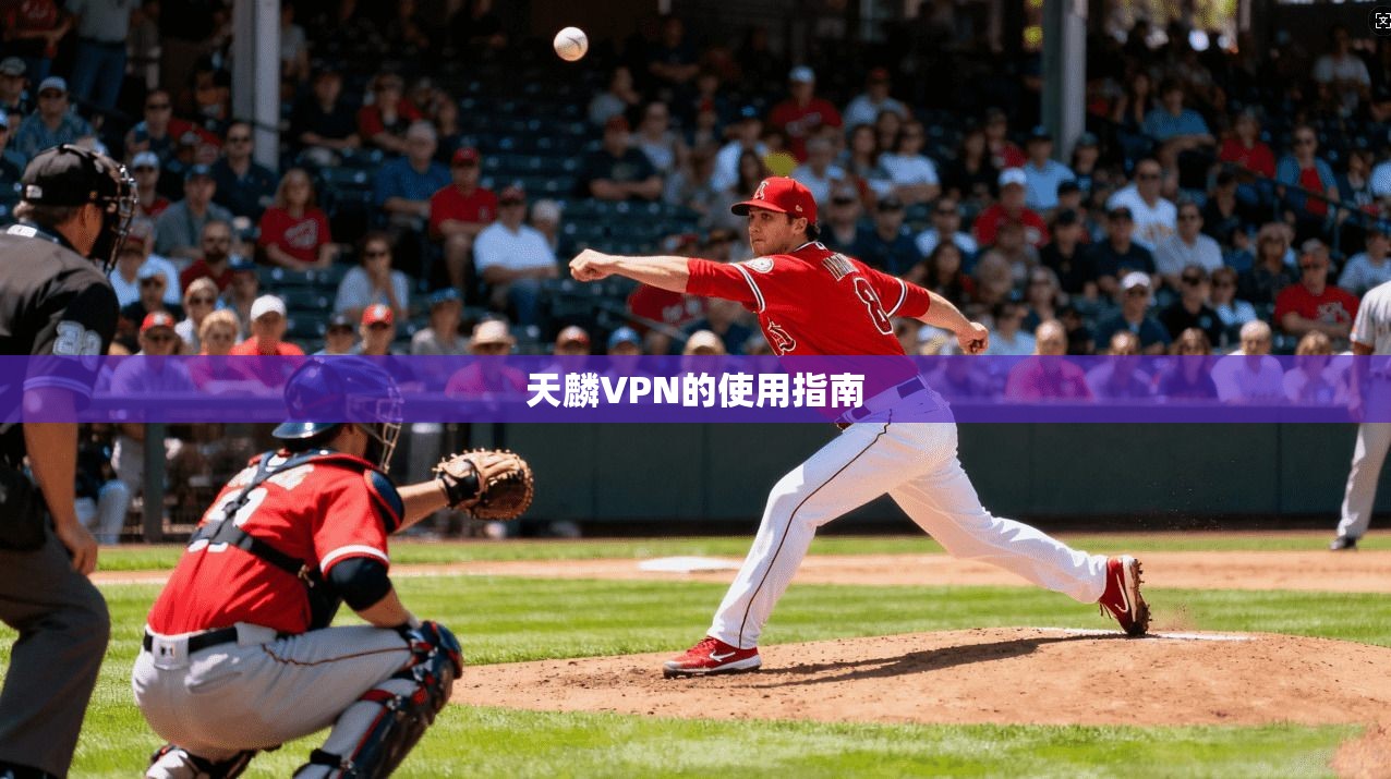 天麟VPN的使用指南  第1张