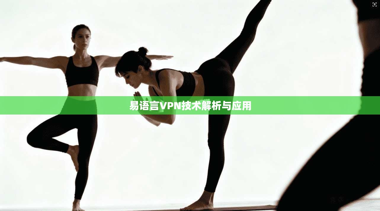 易语言VPN技术解析与应用  第1张