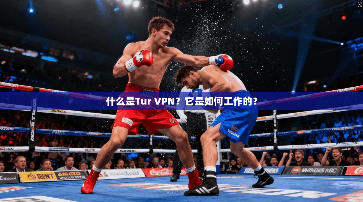 什么是Tur VPN？它是如何工作的？  第1张