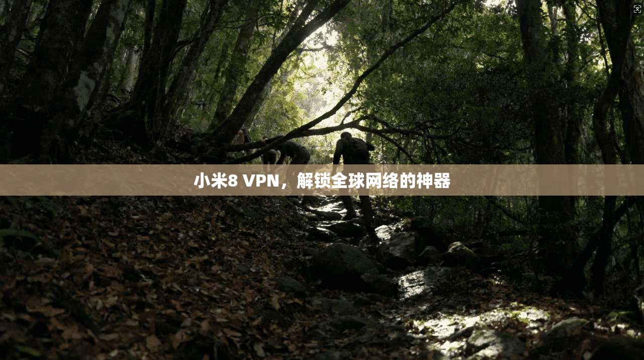 小米8 VPN,解锁全球网络的神器 第1张 小米8 VPN,解锁全球网络的神器 第1张