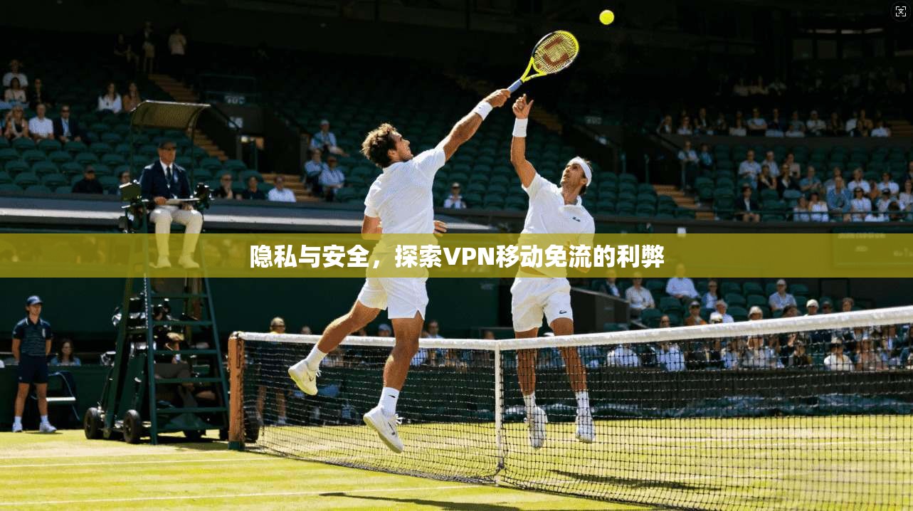 隐私与安全,探索VPN移动免流的利弊 第1张 隐私与安全,探索VPN移动免流的利弊 第1张