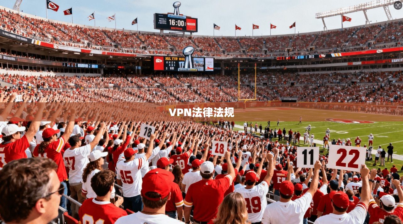 VPN法律法规  第1张