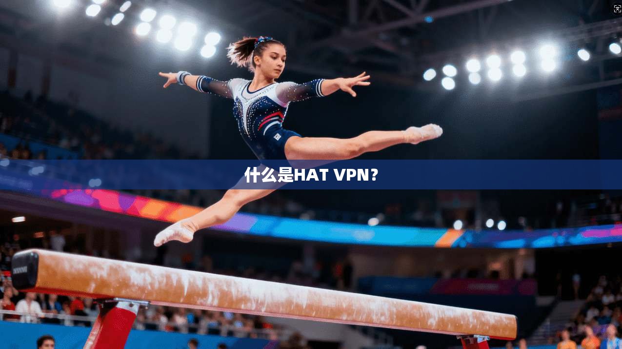 什么是HAT VPN? 第1张 什么是HAT VPN? 第1张