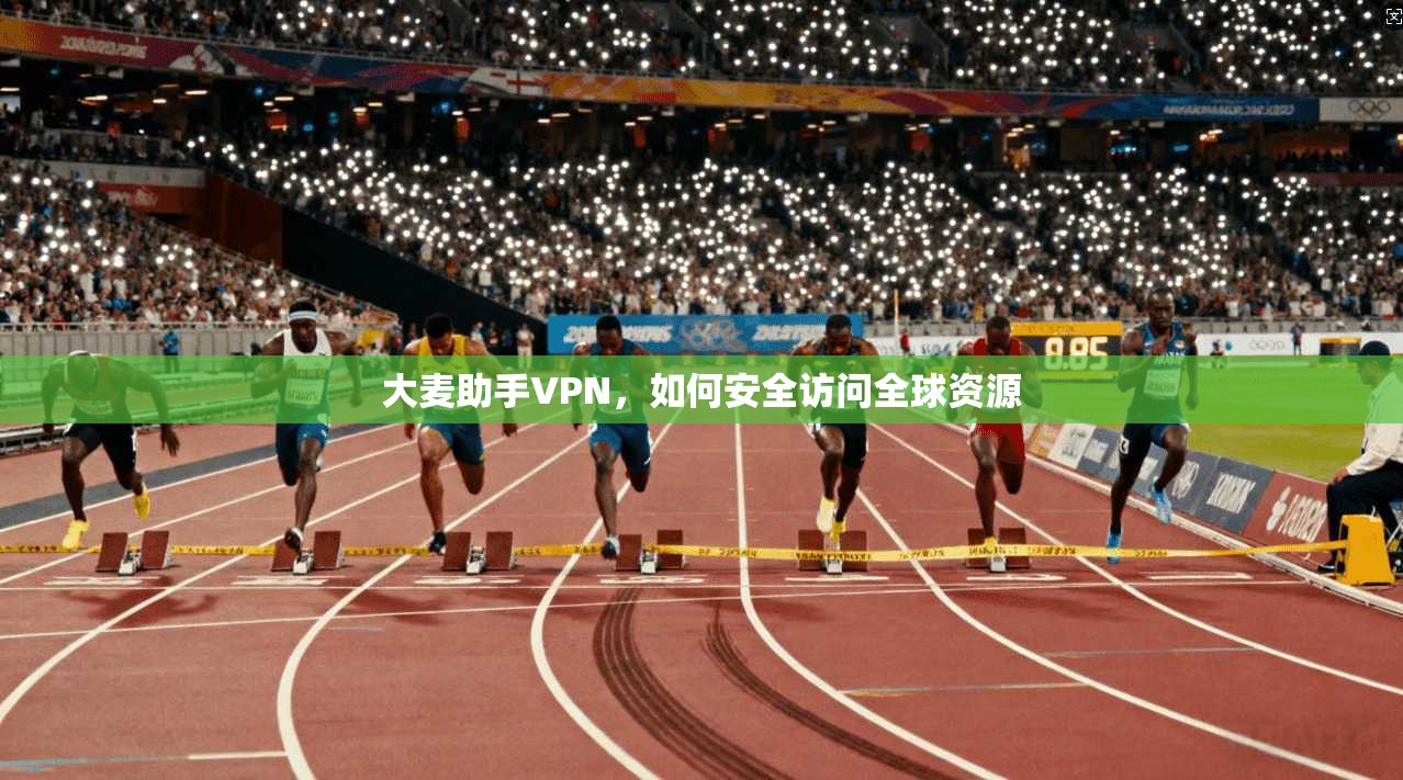 大麦助手VPN，如何安全访问全球资源  第1张