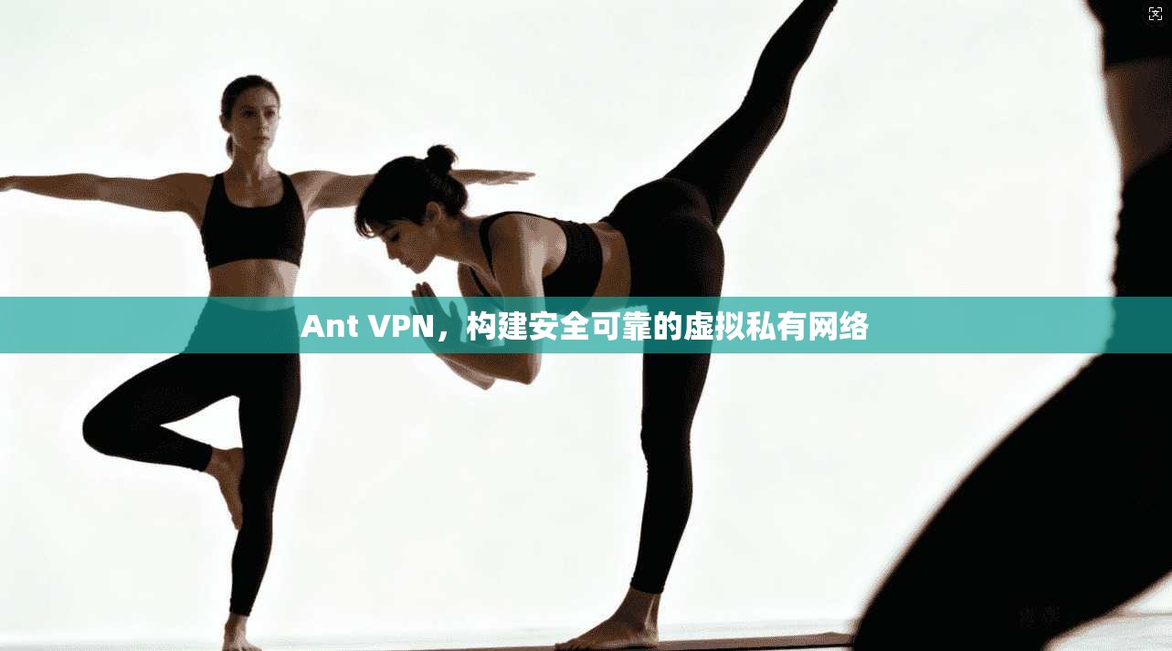 Ant VPN，构建安全可靠的虚拟私有网络  第1张