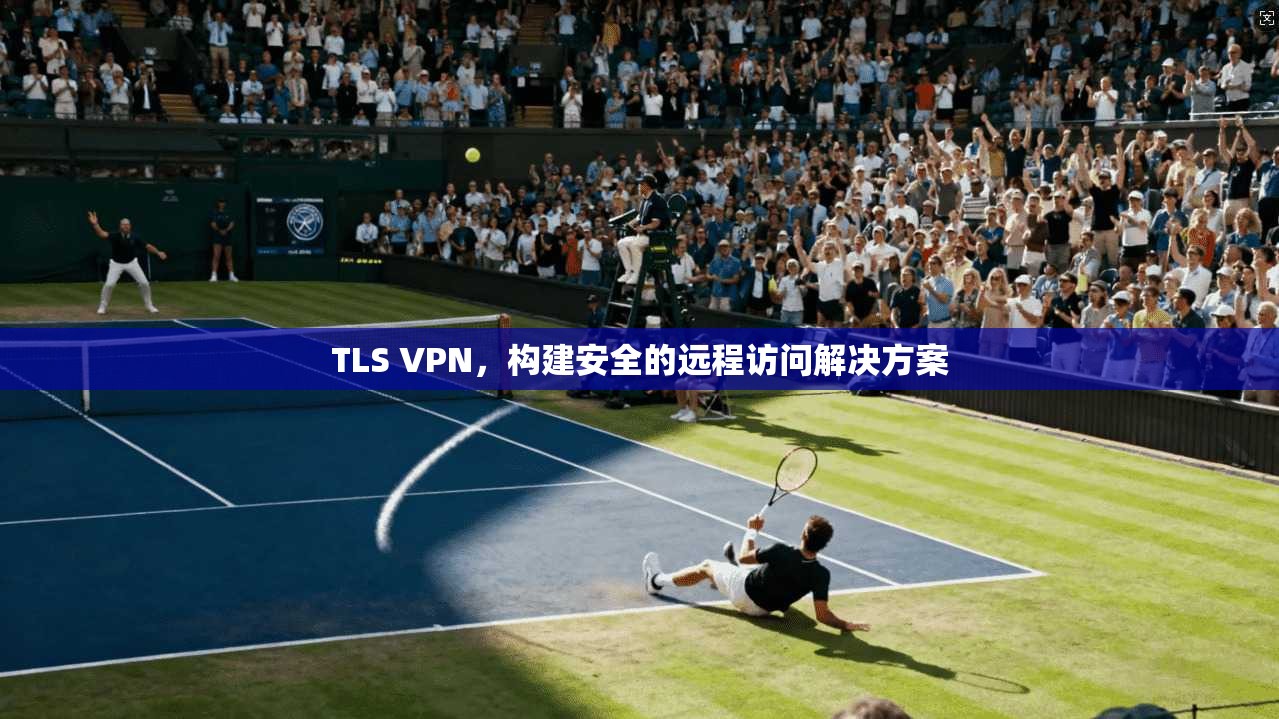 TLS VPN，构建安全的远程访问解决方案  第1张