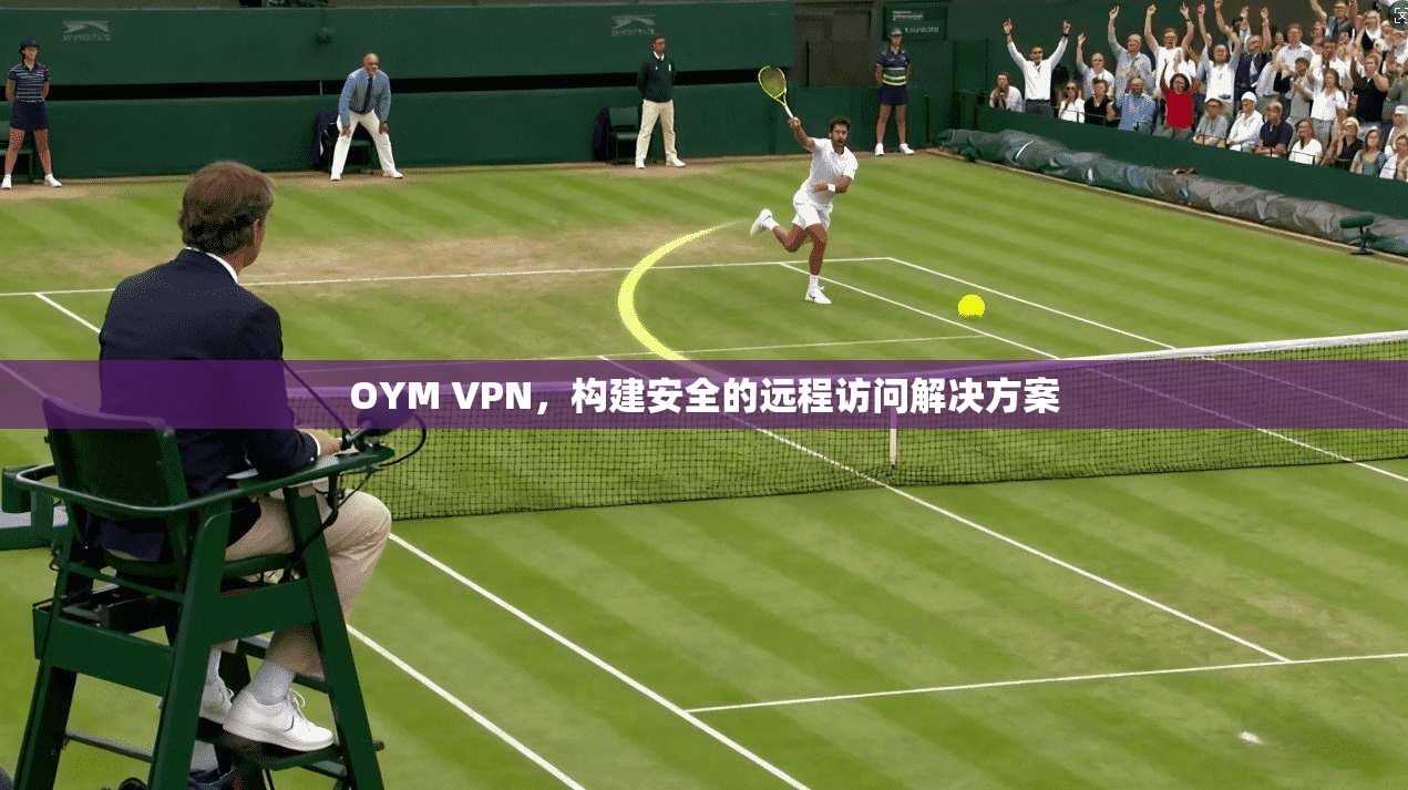 OYM VPN，构建安全的远程访问解决方案  第1张