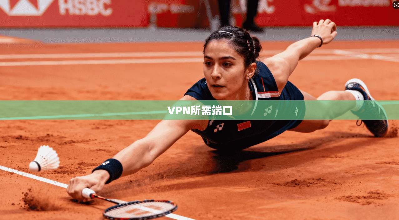 VPN所需端口 第1张 VPN所需端口 第1张