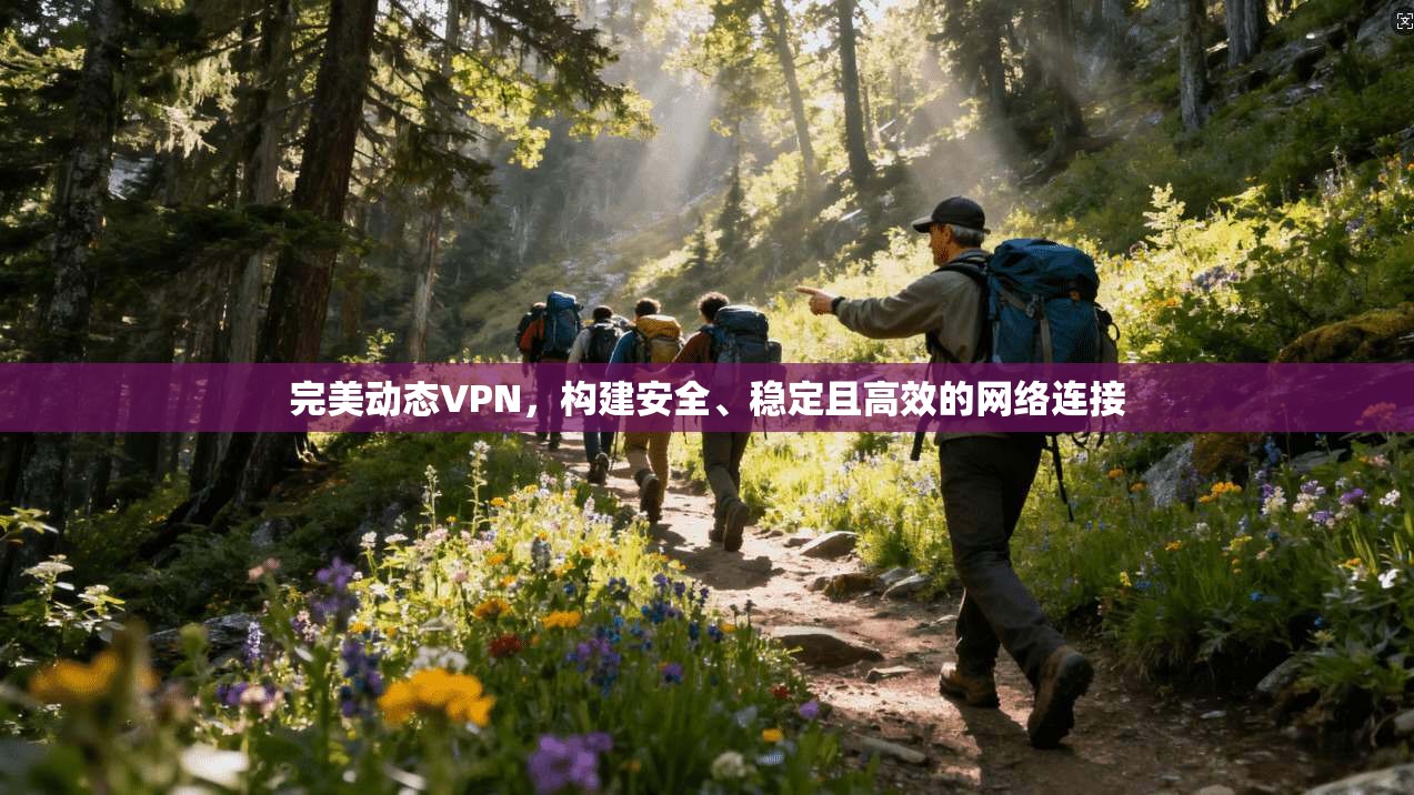 完美动态VPN，构建安全、稳定且高效的网络连接  第1张