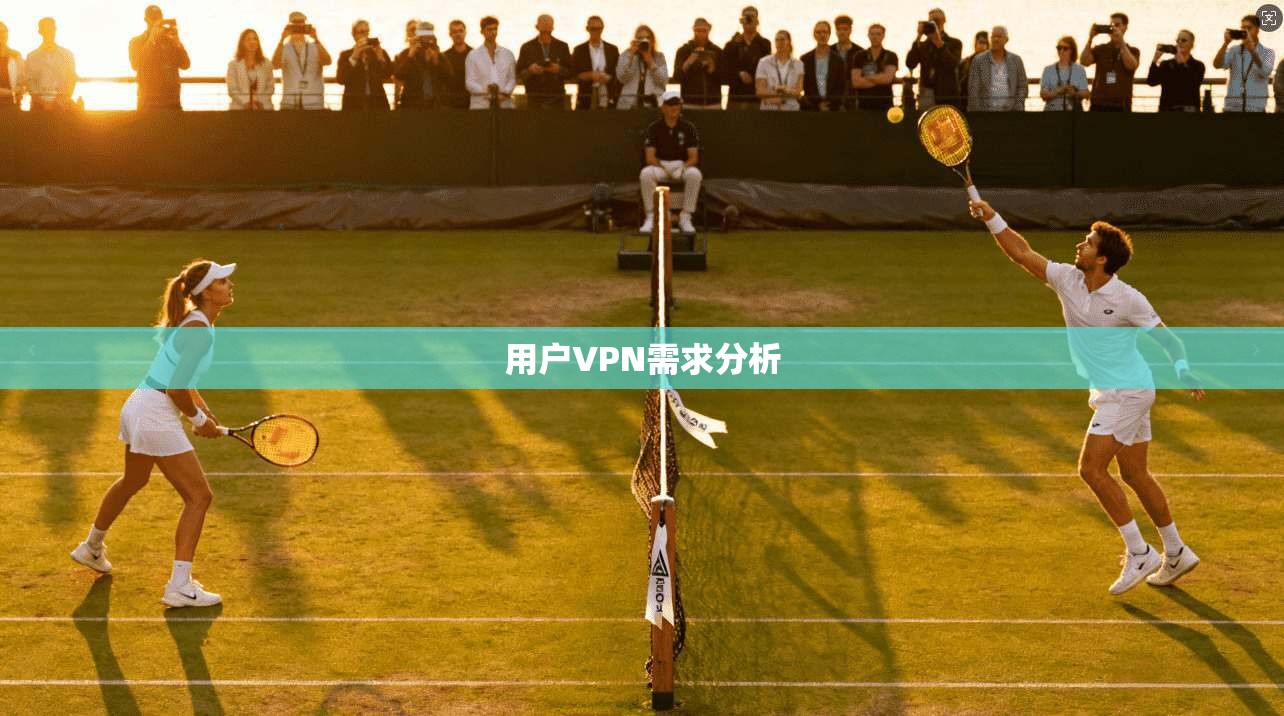 用户VPN需求分析 第1张 用户VPN需求分析 第1张