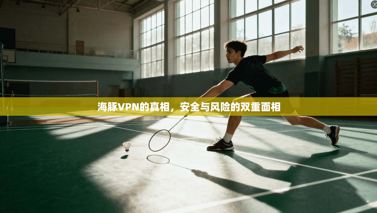 海豚VPN的真相，安全与风险的双重面相  第1张