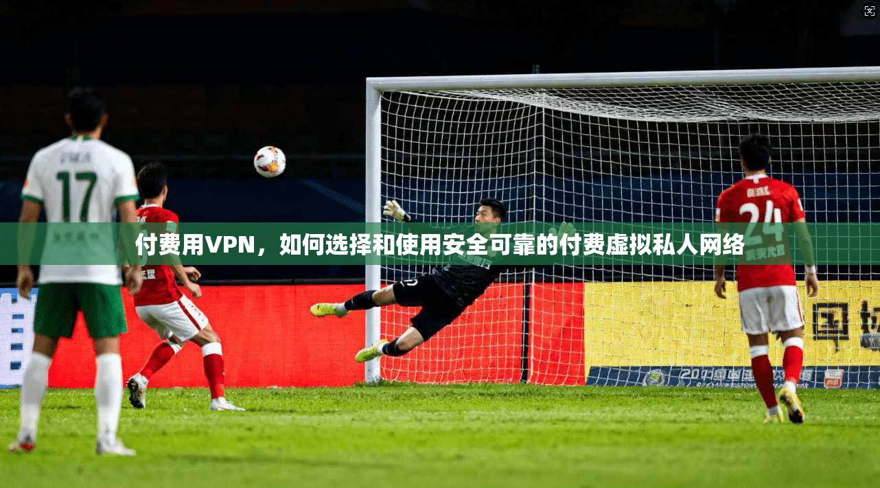 付费用VPN，如何选择和使用安全可靠的付费虚拟私人网络  第1张