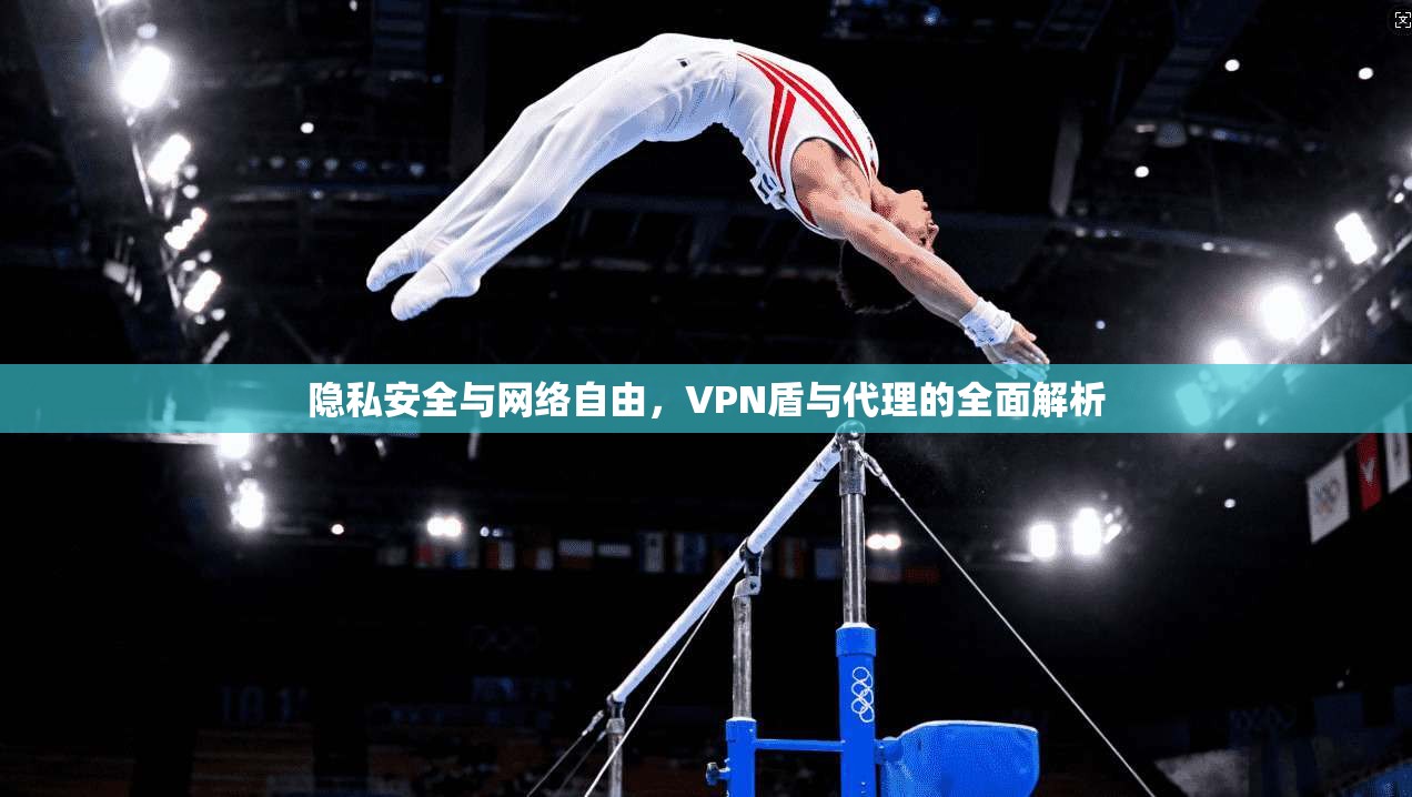 隐私安全与网络自由，VPN盾与代理的全面解析  第1张