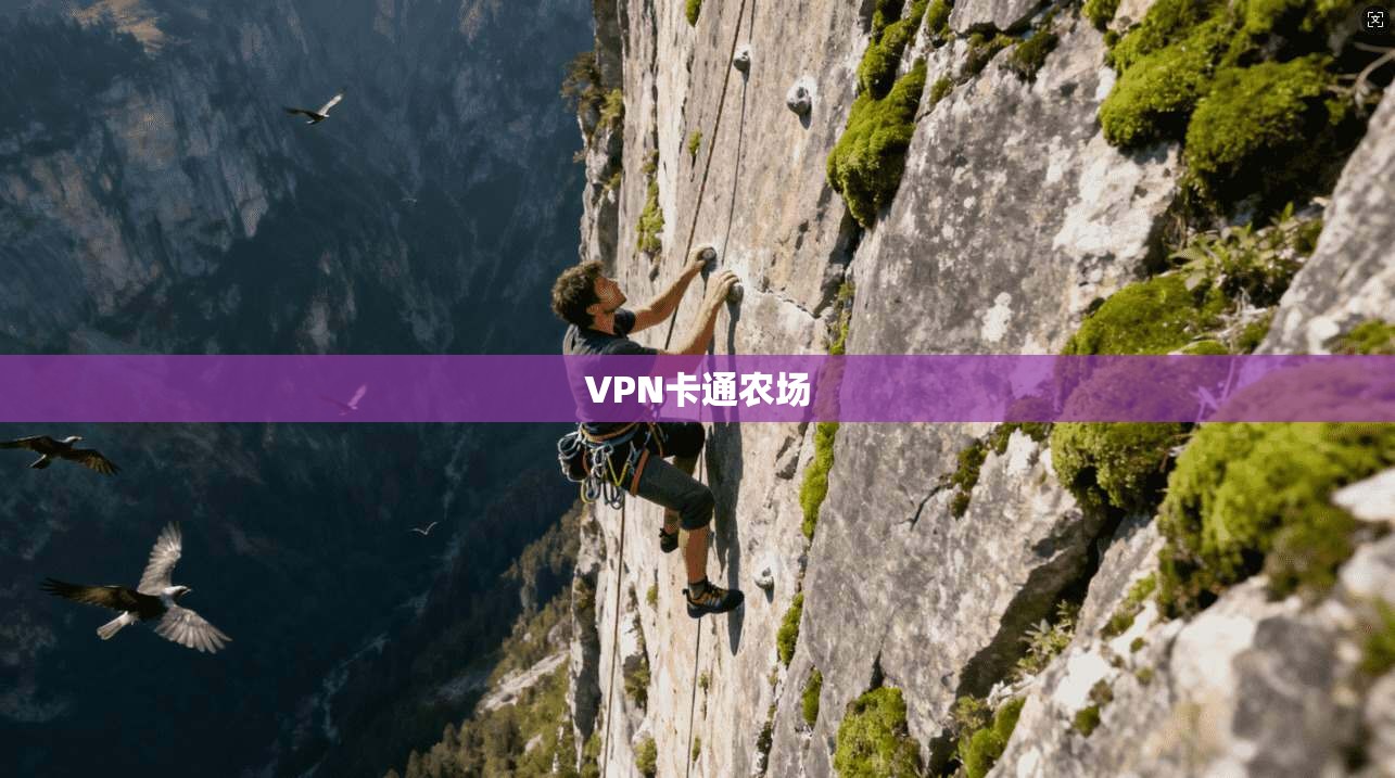 VPN卡通农场  第1张