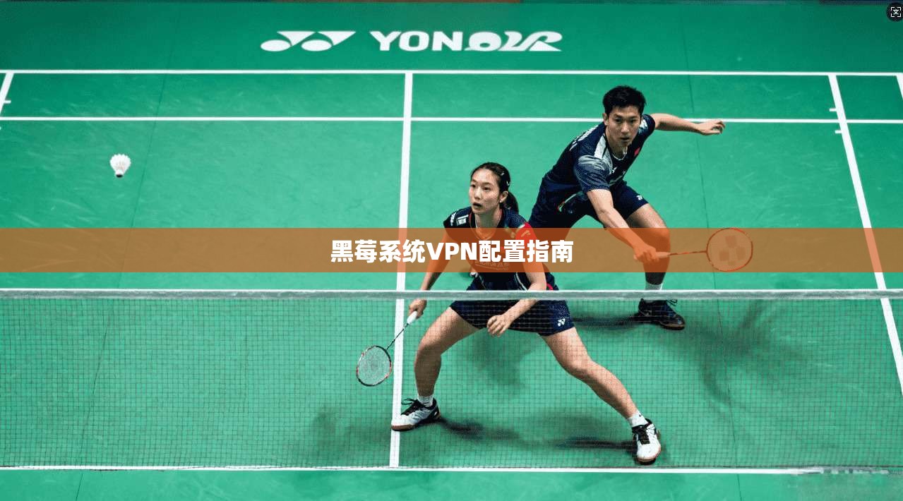 黑莓系统VPN配置指南 第1张 黑莓系统VPN配置指南 第1张