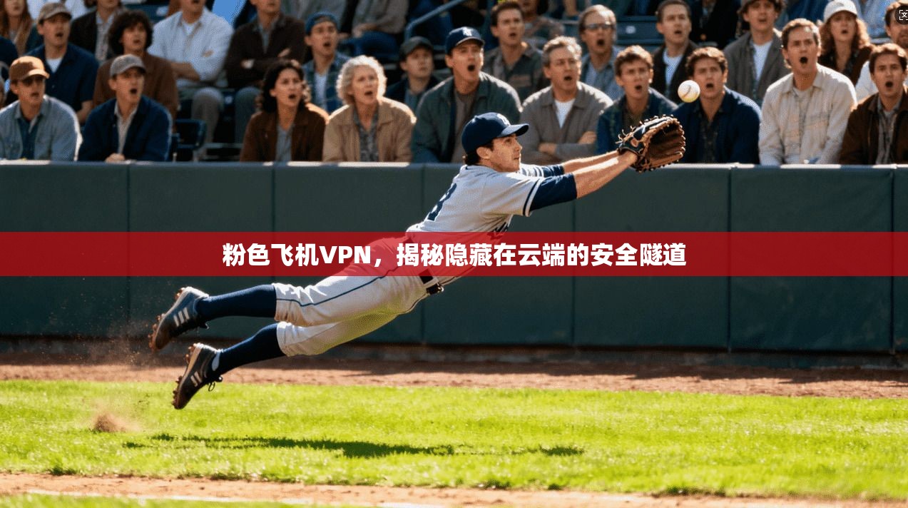 粉色飞机VPN,揭秘隐藏在云端的安全隧道 第1张 粉色飞机VPN,揭秘隐藏在云端的安全隧道 第1张