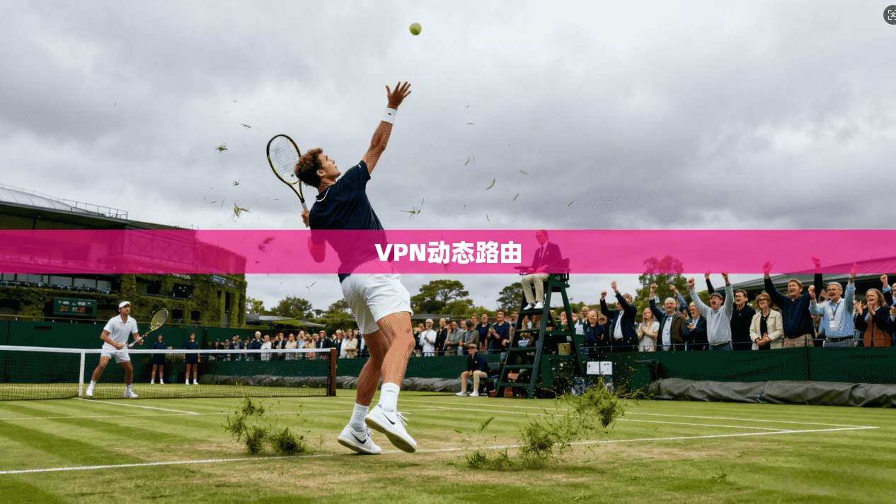 VPN动态路由 第1张 VPN动态路由 第1张