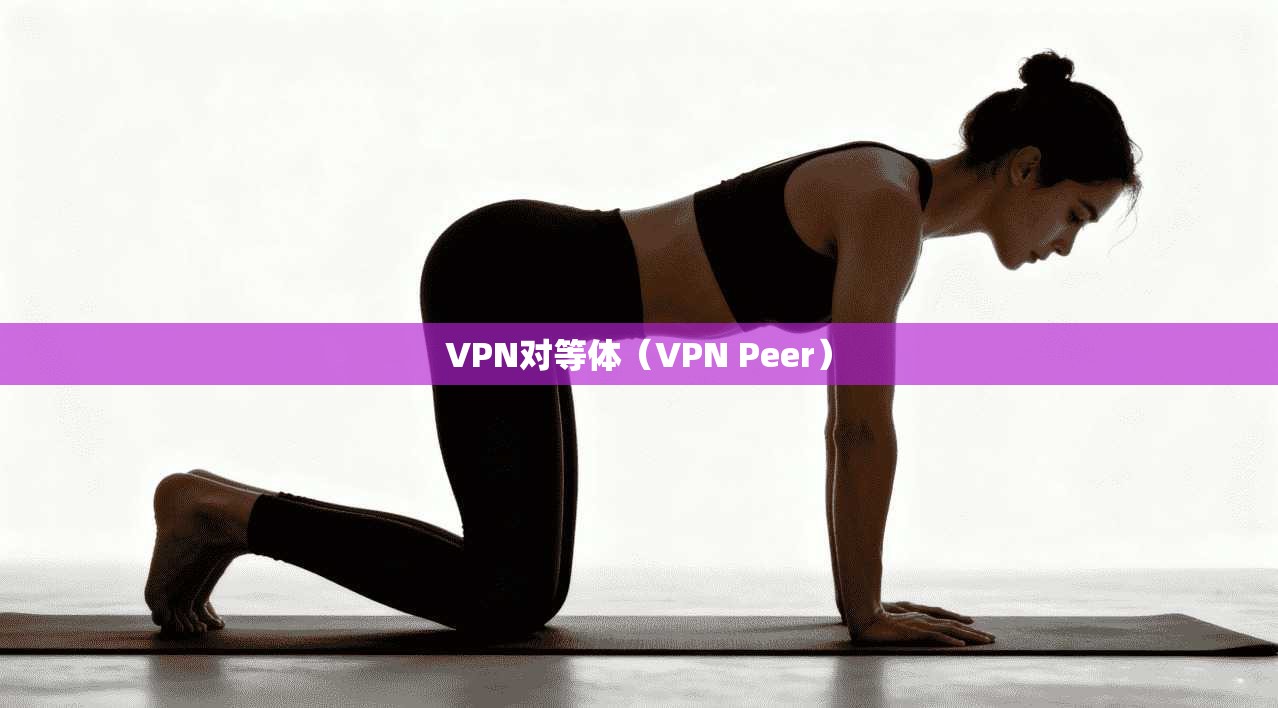 VPN对等体(VPN Peer) 第1张 VPN对等体(VPN Peer) 第1张
