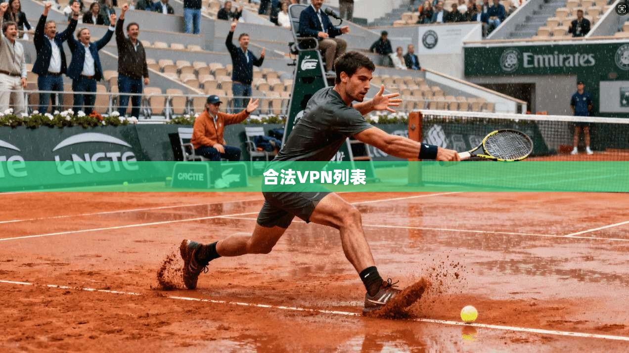 合法VPN列表  第1张