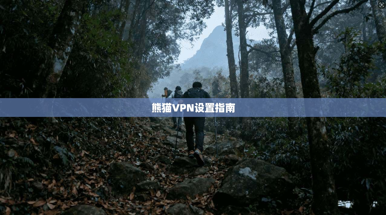 熊猫VPN设置指南 第1张 熊猫VPN设置指南 第1张