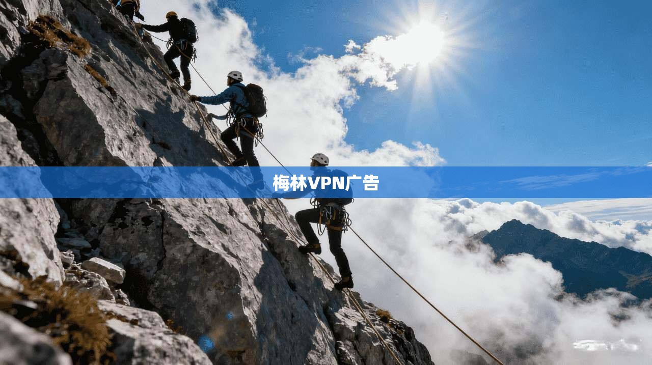 梅林VPN广告 第1张 梅林VPN广告 第1张