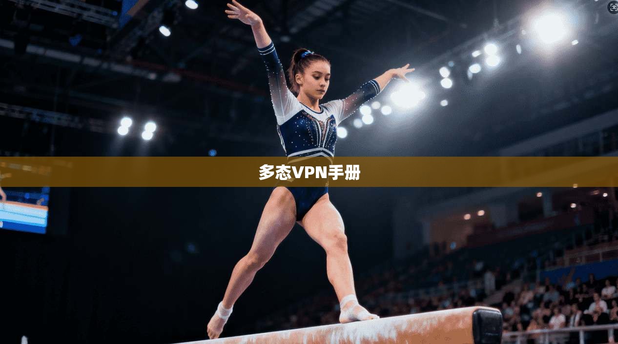 多态VPN手册 第1张 多态VPN手册 第1张