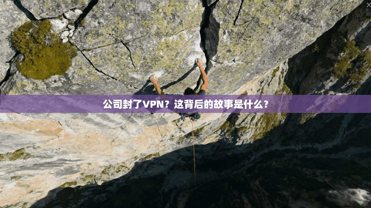 公司封了VPN?这背后的故事是什么? 第1张 公司封了VPN?这背后的故事是什么? 第1张