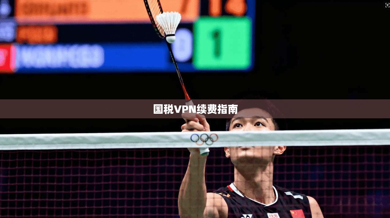 国税VPN续费指南  第1张