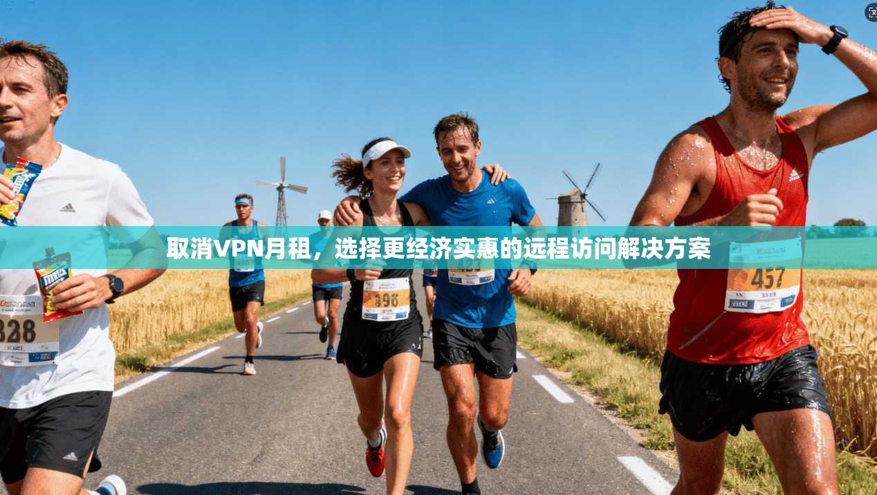 取消VPN月租，选择更经济实惠的远程访问解决方案  第1张