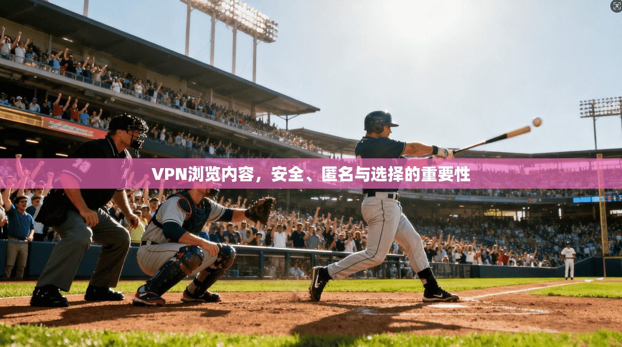 VPN浏览内容，安全、匿名与选择的重要性  第1张