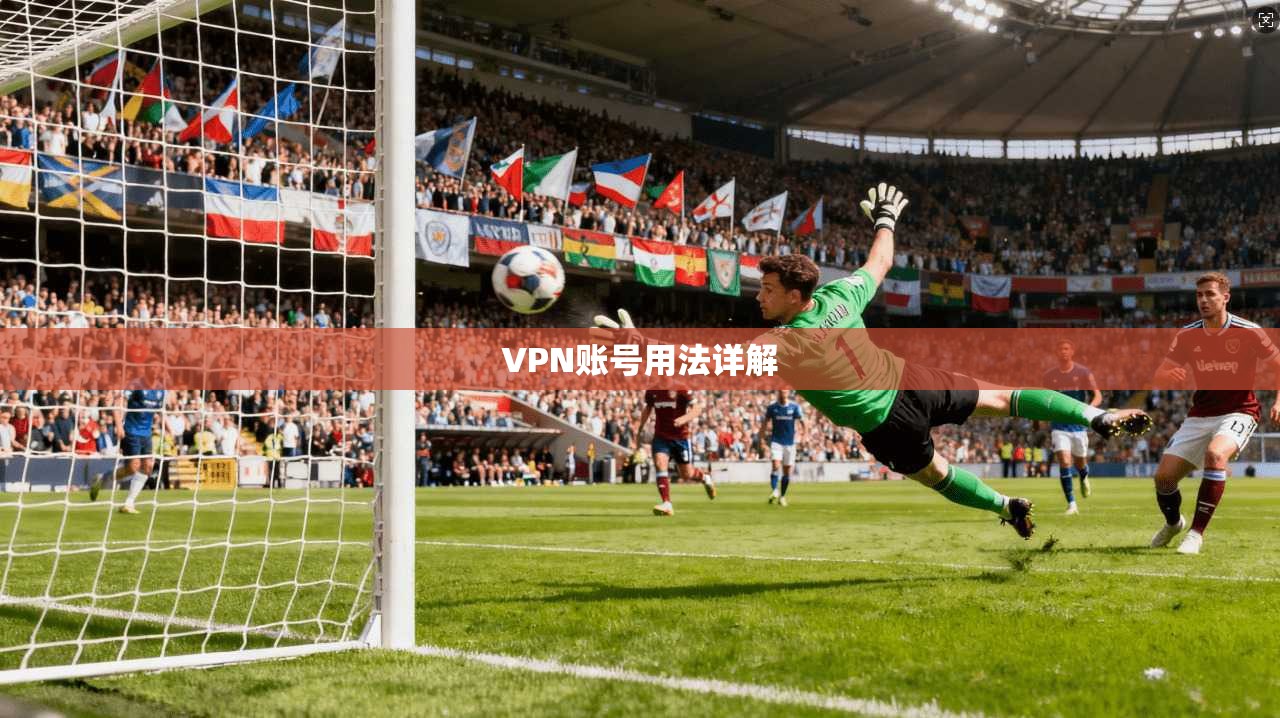 VPN账号用法详解  第1张