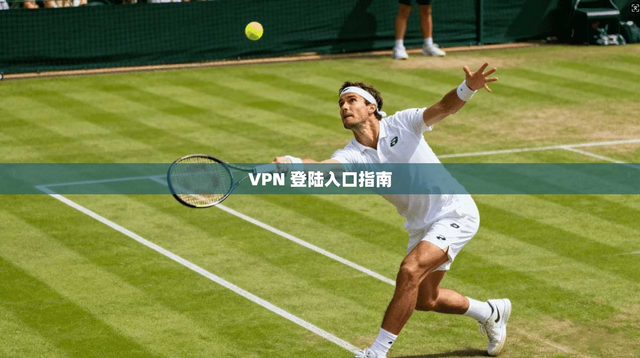 VPN 登陆入口指南  第1张